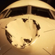 Imagen para el artículo titulado Qué pasa realmente cuando un pájaro impacta contra un avión
